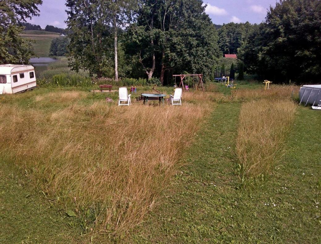 Ferienwohnung Uslugi Turystyczne Ekotur - Kraniec Swiata Golubie Exterior foto